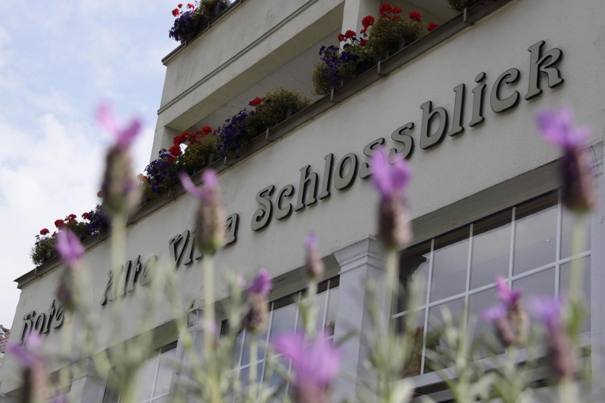 Alte Villa Schlossblick Bad Pyrmont Ngoại thất bức ảnh